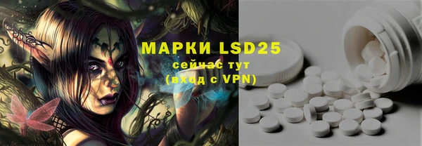 PSILOCYBIN Алзамай