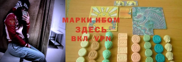 PSILOCYBIN Алзамай