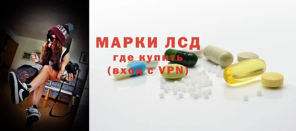 PSILOCYBIN Алзамай