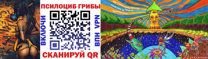 Псилоцибиновые грибы Cubensis  Бирюч 